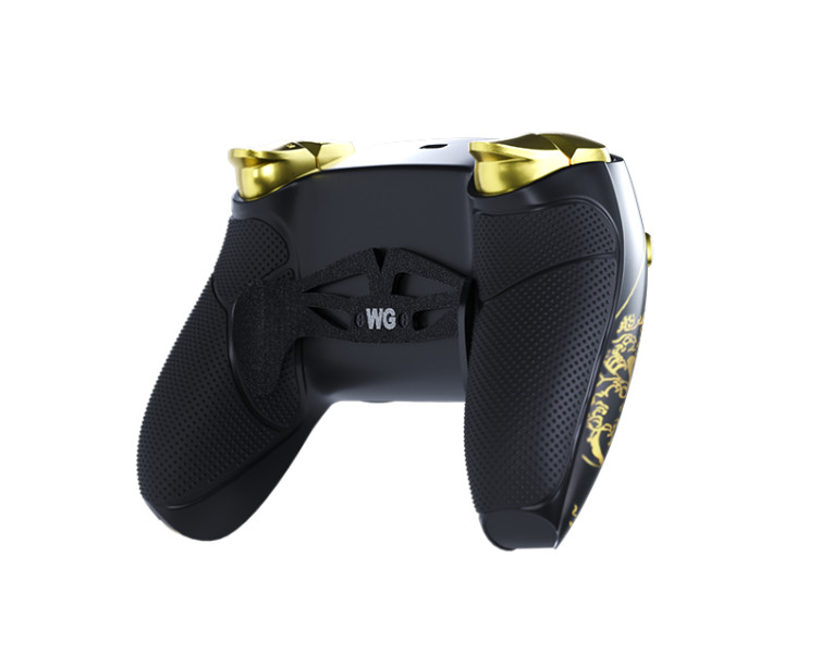 Manette PS5 FPS x ENIWARA